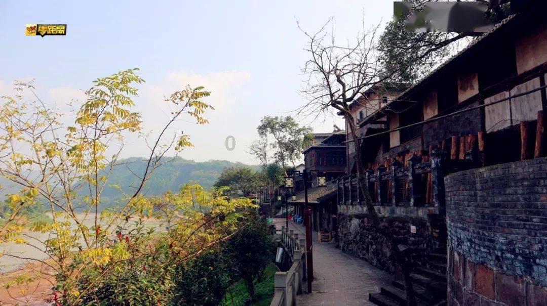 有关兔子的成语有哪些?知识问答网页-用心解答您的疑惑